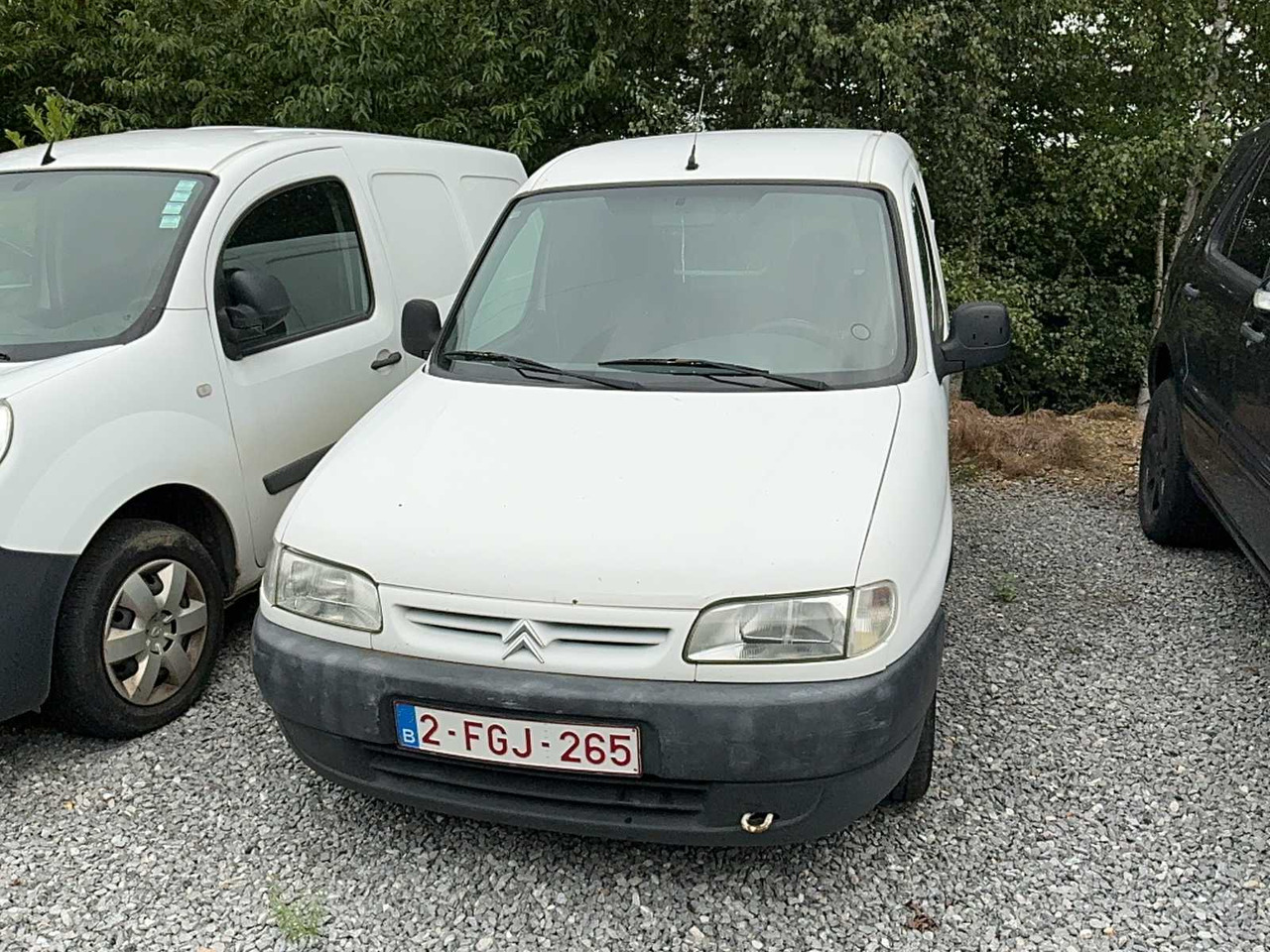 CITROËN BERLINGO COMMERCIAL VEHICLE - Bestelwagen: afbeelding 2 CITROËN BERLINGO COMMERCIAL VEHICLE - Bestelwagen: afbeelding 2