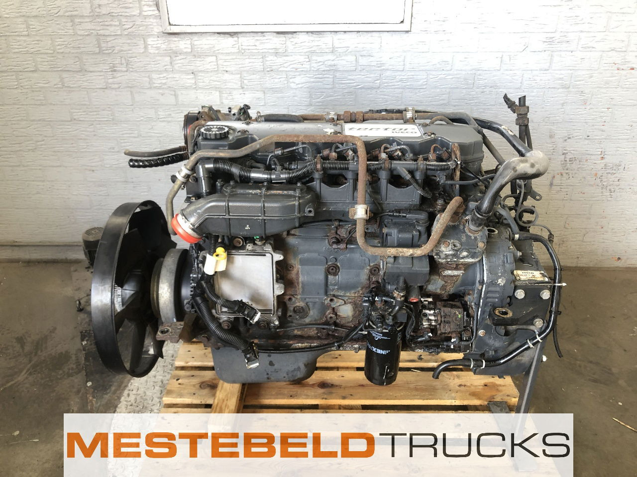 Iveco Motor tector F4AE3681B E4 - Motor voor Vrachtwagen: afbeelding 1 Iveco Motor tector F4AE3681B E4 - Motor voor Vrachtwagen: afbeelding 1