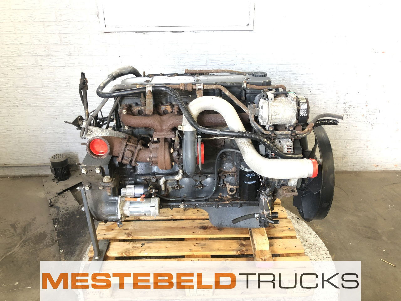 Iveco Motor tector F4AE3681B E4 - Motor voor Vrachtwagen: afbeelding 3 Iveco Motor tector F4AE3681B E4 - Motor voor Vrachtwagen: afbeelding 3