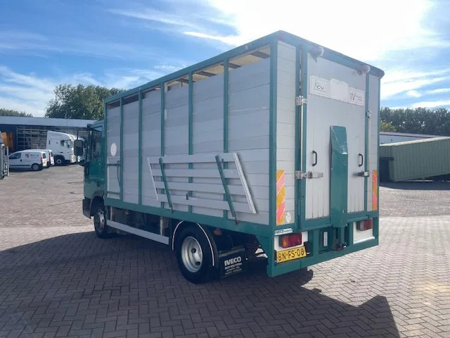 Iveco EuroCargo 65 BLADVERING / HANDGESCHAKELDE - Veewagen vrachtwagen: afbeelding 5 Iveco EuroCargo 65 BLADVERING / HANDGESCHAKELDE - Veewagen vrachtwagen: afbeelding 5
