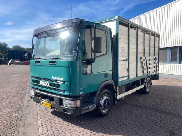 Iveco EuroCargo 65 BLADVERING / HANDGESCHAKELDE - Veewagen vrachtwagen: afbeelding 3 Iveco EuroCargo 65 BLADVERING / HANDGESCHAKELDE - Veewagen vrachtwagen: afbeelding 3
