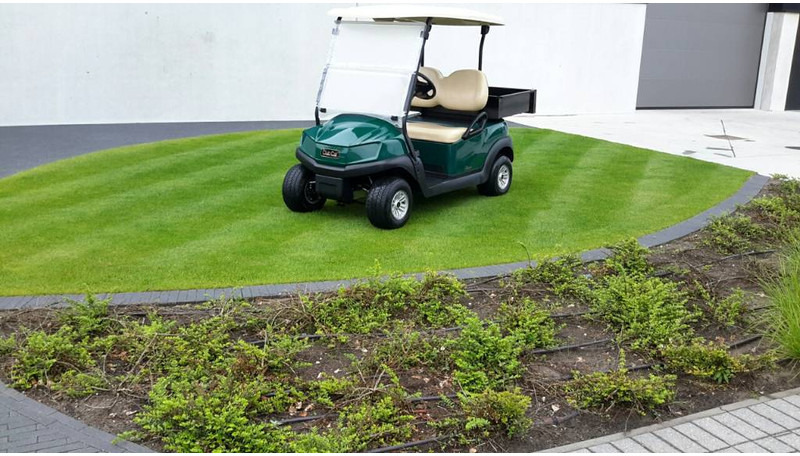 Club Car tempo whit cargo box 2021 - Handicart: afbeelding 1 Club Car tempo whit cargo box 2021 - Handicart: afbeelding 1