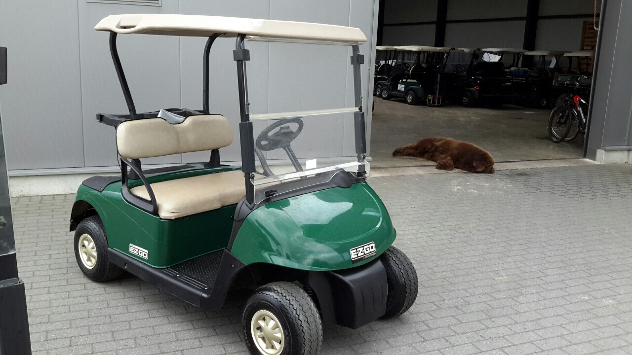 Ezgo rxv petrol - Handicart: afbeelding 4 Ezgo rxv petrol - Handicart: afbeelding 4