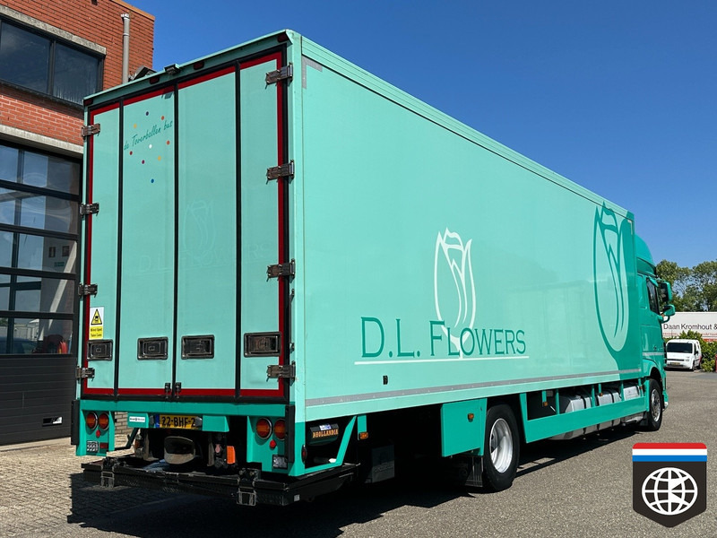 DAF XF 410 FA - Koelwagen vrachtwagen: afbeelding 5 DAF XF 410 FA - Koelwagen vrachtwagen: afbeelding 5