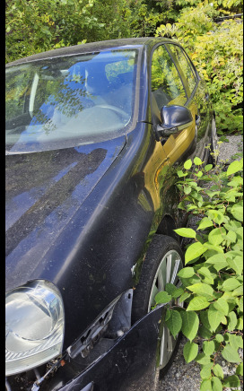 Golf gtd - Personenwagen: afbeelding 4 Golf gtd - Personenwagen: afbeelding 4