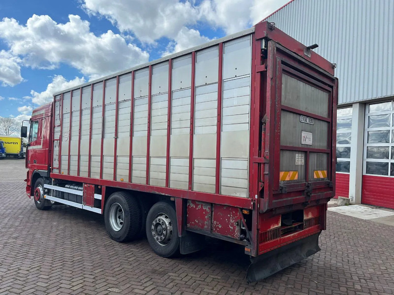 DAF XF FAR 95XF.380 EURO 2 - Veewagen vrachtwagen: afbeelding 5 DAF XF FAR 95XF.380 EURO 2 - Veewagen vrachtwagen: afbeelding 5