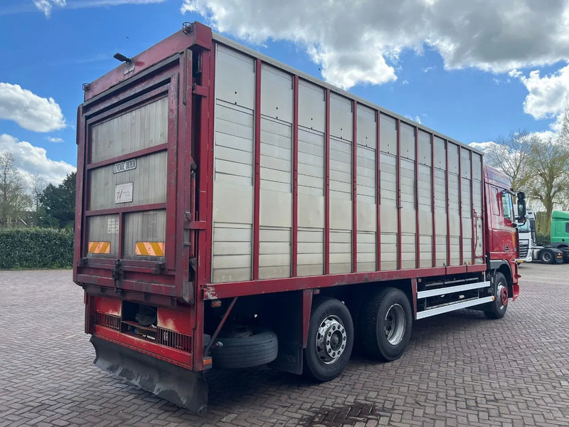 DAF XF FAR 95XF.380 EURO 2 - Veewagen vrachtwagen: afbeelding 4 DAF XF FAR 95XF.380 EURO 2 - Veewagen vrachtwagen: afbeelding 4