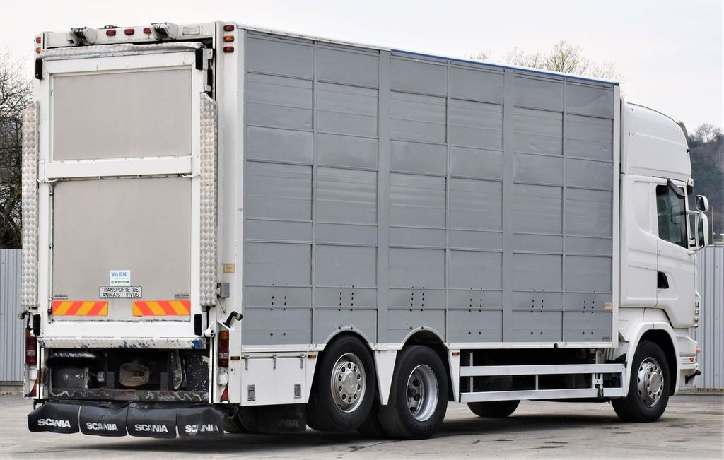 Scania R 500 TIERTRANSPORTWAGEN 7,10m / 4STOCK Scania R 500 TIERTRANSPORTWAGEN 7,10m / 4STOCK - Veewagen vrachtwagen: afbeelding 5 Scania R 500 TIERTRANSPORTWAGEN 7,10m / 4STOCK Scania R 500 TIERTRANSPORTWAGEN 7,10m / 4STOCK - Veewagen vrachtwagen: afbeelding 5