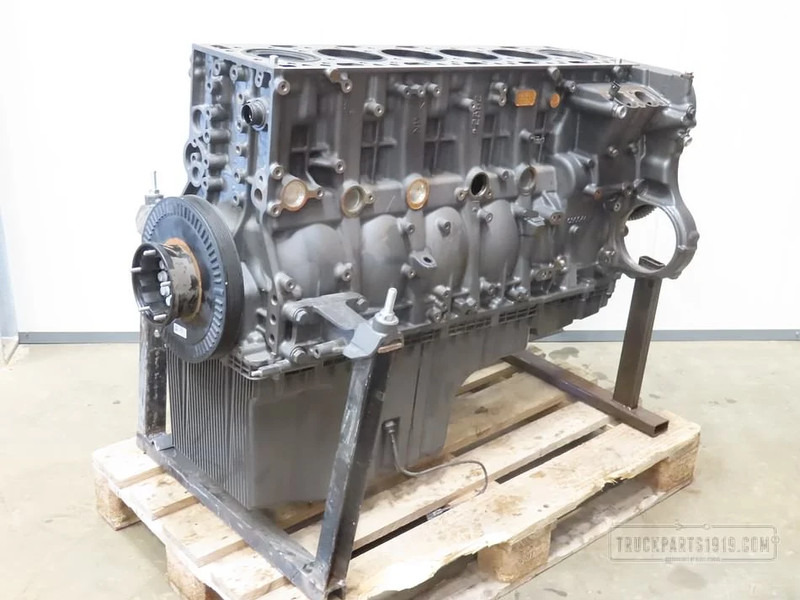 DAF Engines & Parts Motorblok DAF MX11 - Motor voor Vrachtwagen: afbeelding 1 DAF Engines & Parts Motorblok DAF MX11 - Motor voor Vrachtwagen: afbeelding 1