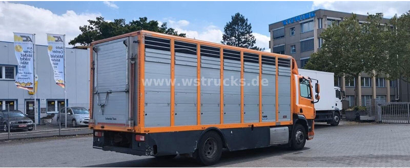 DAF CF 400 - Animal transporter - Veewagen vrachtwagen: afbeelding 4 DAF CF 400 - Animal transporter - Veewagen vrachtwagen: afbeelding 4