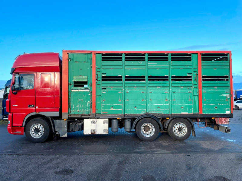 DAF XF 105.460 2-Stock Finkl Viehaufbau / Lenkachs - Veewagen vrachtwagen: afbeelding 5 DAF XF 105.460 2-Stock Finkl Viehaufbau / Lenkachs - Veewagen vrachtwagen: afbeelding 5