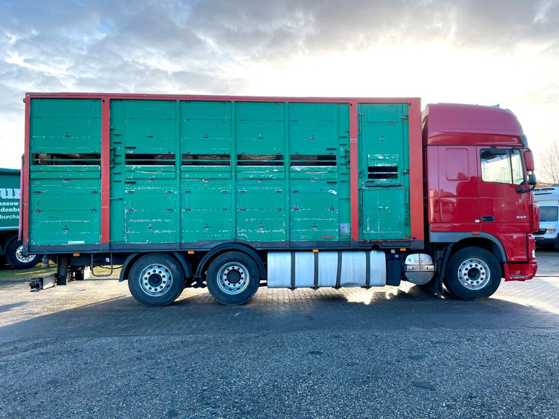 DAF XF 105.460 2-Stock Finkl Viehaufbau / Lenkachs - Veewagen vrachtwagen: afbeelding 4 DAF XF 105.460 2-Stock Finkl Viehaufbau / Lenkachs - Veewagen vrachtwagen: afbeelding 4