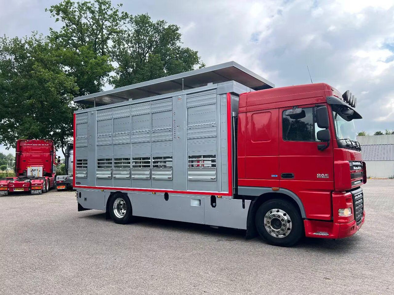DAF XF 106.460 - Finkl Animal transporter - Veewagen vrachtwagen: afbeelding 2 DAF XF 106.460 - Finkl Animal transporter - Veewagen vrachtwagen: afbeelding 2