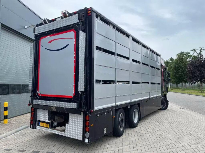 DAF XF 460 - Animal transporter - Veewagen vrachtwagen: afbeelding 5 DAF XF 460 - Animal transporter - Veewagen vrachtwagen: afbeelding 5