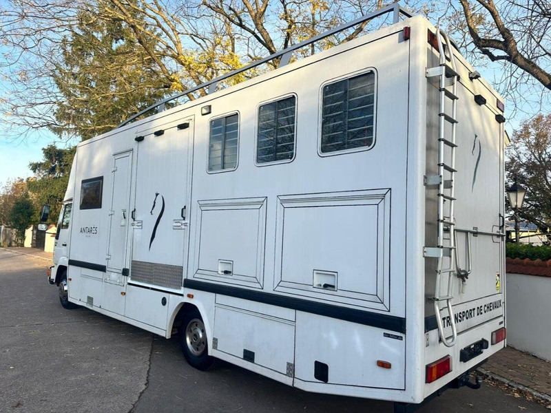 MAN 10.224 - Paardenvrachtwagen: afbeelding 3 MAN 10.224 - Paardenvrachtwagen: afbeelding 3