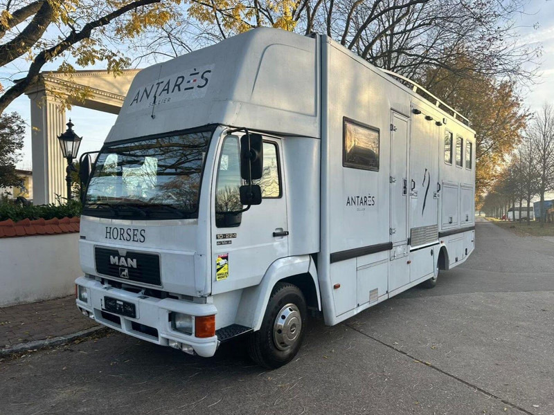 MAN 10.224 - Paardenvrachtwagen: afbeelding 2 MAN 10.224 - Paardenvrachtwagen: afbeelding 2