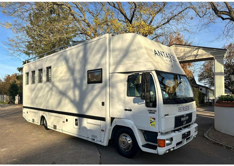 MAN 10.224 - Paardenvrachtwagen: afbeelding 1 MAN 10.224 - Paardenvrachtwagen: afbeelding 1