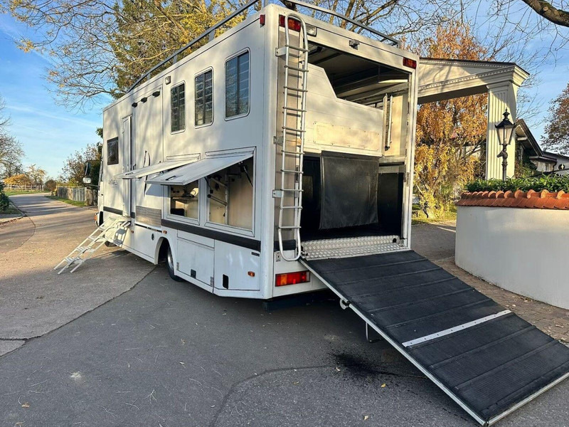 MAN 10.224 - Paardenvrachtwagen: afbeelding 5 MAN 10.224 - Paardenvrachtwagen: afbeelding 5