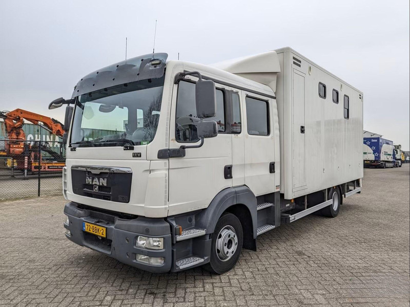 MAN TGL 12.180 - Doka Horse transporter - Paardenvrachtwagen: afbeelding 1 MAN TGL 12.180 - Doka Horse transporter - Paardenvrachtwagen: afbeelding 1