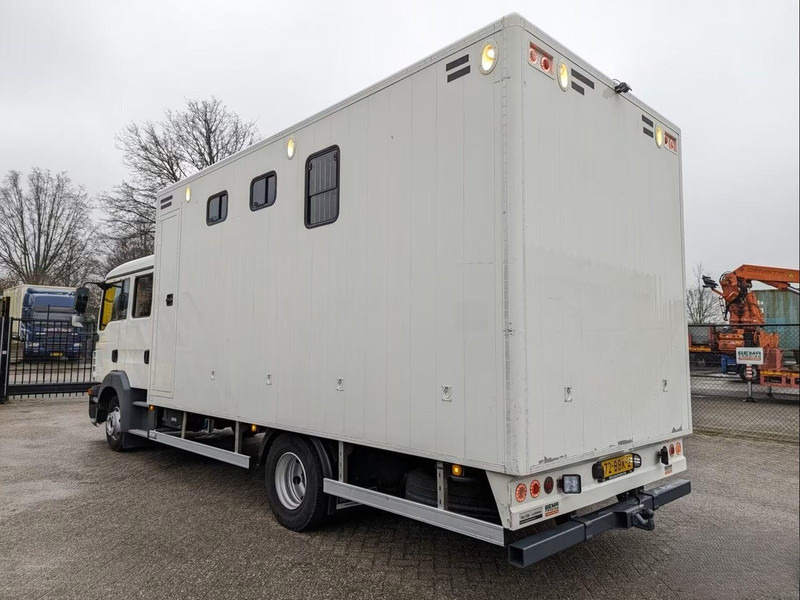 MAN TGL 12.180 - Doka Horse transporter - Paardenvrachtwagen: afbeelding 4 MAN TGL 12.180 - Doka Horse transporter - Paardenvrachtwagen: afbeelding 4