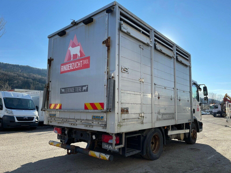 MAN TGL 12.220 - Veewagen vrachtwagen: afbeelding 3 MAN TGL 12.220 - Veewagen vrachtwagen: afbeelding 3