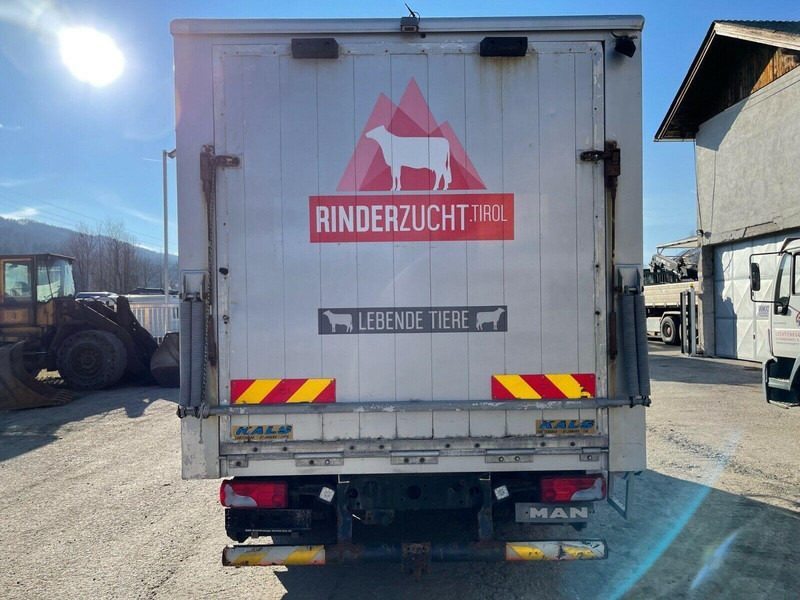 MAN TGL 12.220 - Veewagen vrachtwagen: afbeelding 5 MAN TGL 12.220 - Veewagen vrachtwagen: afbeelding 5
