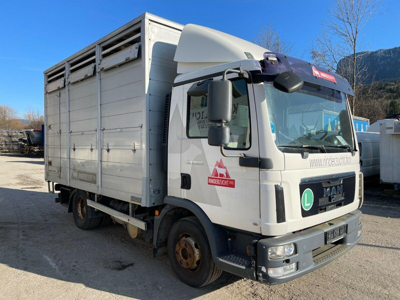 MAN TGL 12.220 - Veewagen vrachtwagen: afbeelding 1 MAN TGL 12.220 - Veewagen vrachtwagen: afbeelding 1