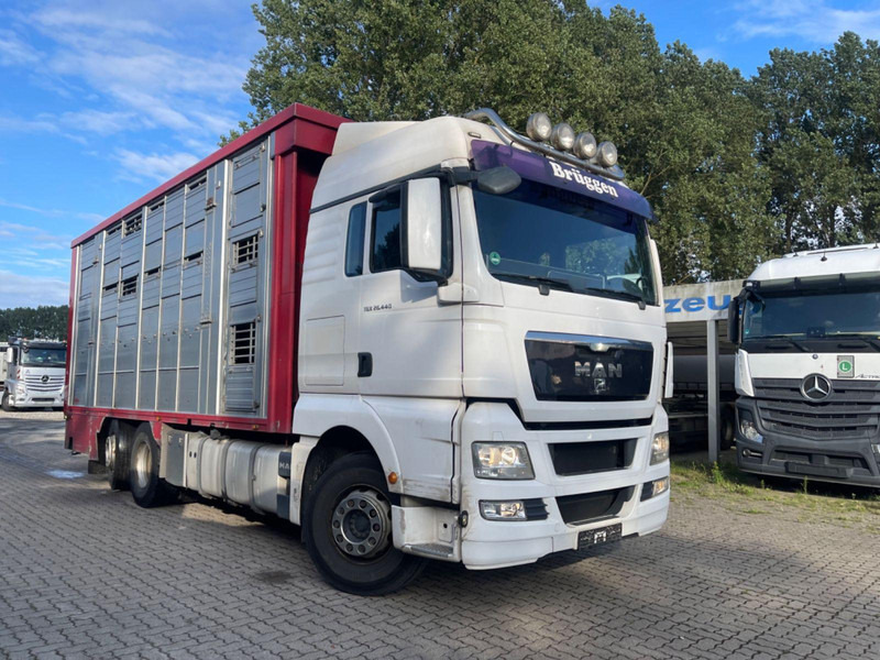 MAN TGX 26.400 6x2-2 LL 3 Stück Finkl Hubdach - Veewagen vrachtwagen: afbeelding 5 MAN TGX 26.400 6x2-2 LL 3 Stück Finkl Hubdach - Veewagen vrachtwagen: afbeelding 5