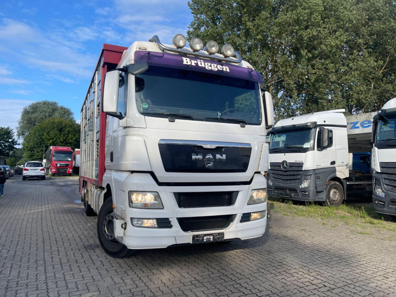 MAN TGX 26.400 6x2-2 LL 3 Stück Finkl Hubdach - Veewagen vrachtwagen: afbeelding 4 MAN TGX 26.400 6x2-2 LL 3 Stück Finkl Hubdach - Veewagen vrachtwagen: afbeelding 4