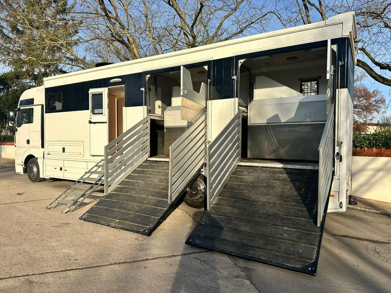 MAN TGX 26.440 - Horse transporter - Paardenvrachtwagen: afbeelding 5 MAN TGX 26.440 - Horse transporter - Paardenvrachtwagen: afbeelding 5