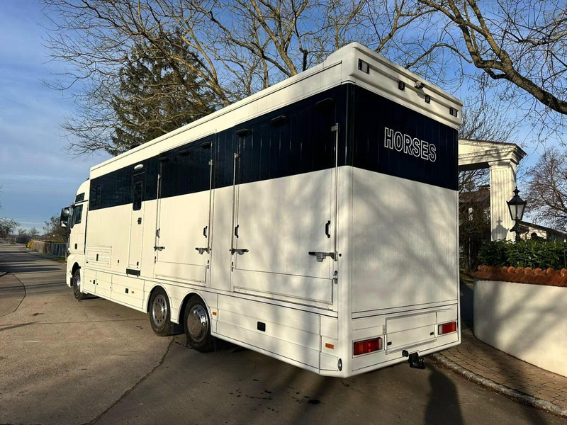 MAN TGX 26.440 - Horse transporter - Paardenvrachtwagen: afbeelding 4 MAN TGX 26.440 - Horse transporter - Paardenvrachtwagen: afbeelding 4