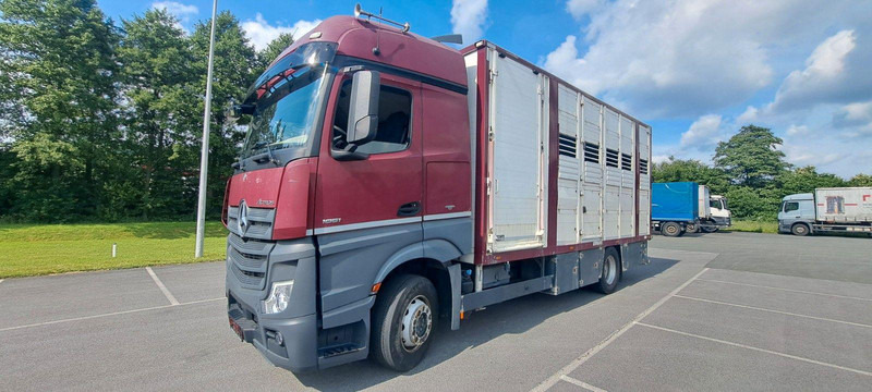Mercedes-Benz Actros 1851 - Veewagen vrachtwagen: afbeelding 1 Mercedes-Benz Actros 1851 - Veewagen vrachtwagen: afbeelding 1