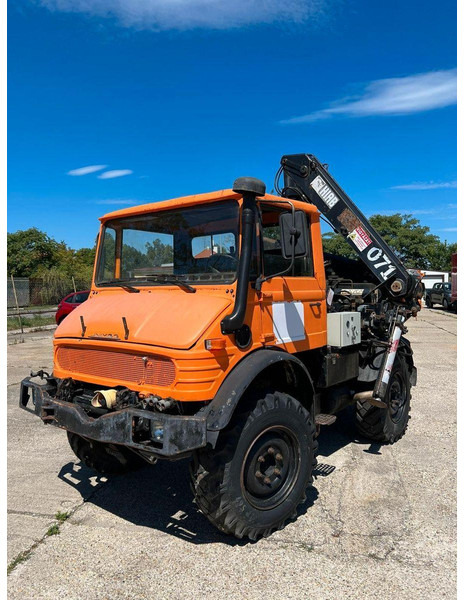 Mercedes-Benz UNIMOG U-900 - Tuinfrees: afbeelding 2 Mercedes-Benz UNIMOG U-900 - Tuinfrees: afbeelding 2