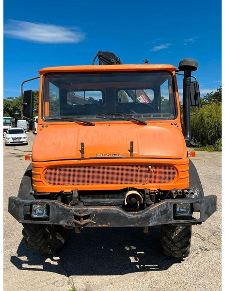 Mercedes-Benz UNIMOG U-900 - Tuinfrees: afbeelding 3 Mercedes-Benz UNIMOG U-900 - Tuinfrees: afbeelding 3