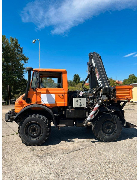 Mercedes-Benz UNIMOG U-900 - Tuinfrees: afbeelding 1 Mercedes-Benz UNIMOG U-900 - Tuinfrees: afbeelding 1