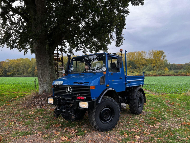 Mercedes-Benz Unimog 427 Platós hókotrócs - Tuinfrees: afbeelding 2 Mercedes-Benz Unimog 427 Platós hókotrócs - Tuinfrees: afbeelding 2