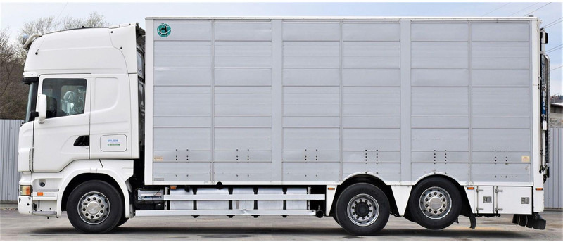 Scania R 500 - Veewagen vrachtwagen: afbeelding 3 Scania R 500 - Veewagen vrachtwagen: afbeelding 3