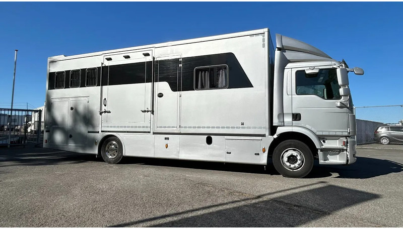 MAN TGM 15.250 5 horses and living brand Krismar - Paardenvrachtwagen: afbeelding 1 MAN TGM 15.250 5 horses and living brand Krismar - Paardenvrachtwagen: afbeelding 1