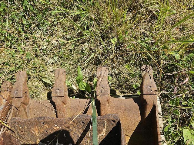 ARDEN QA11 - Graafbak: afbeelding 3 ARDEN QA11 - Graafbak: afbeelding 3