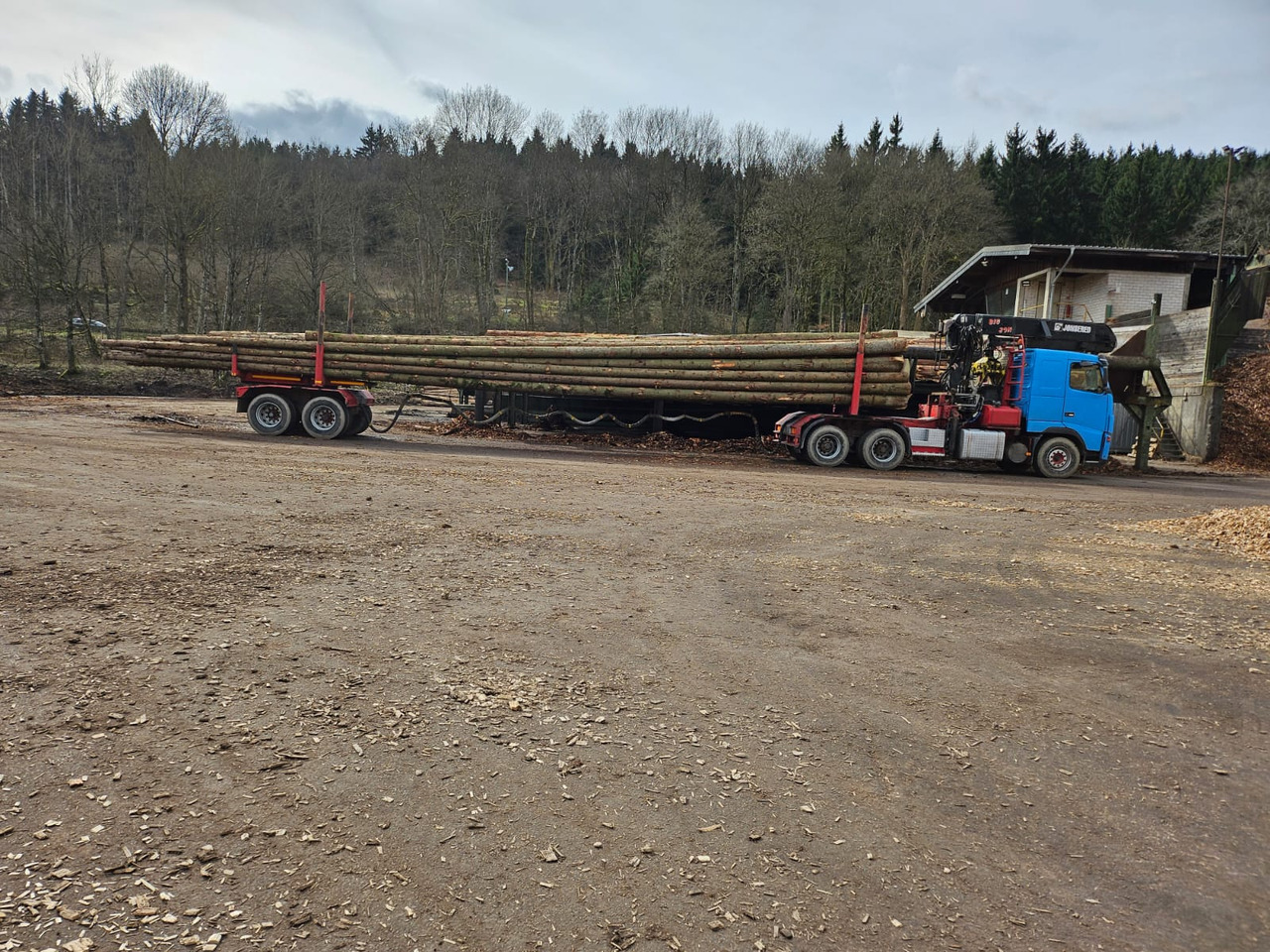 Houttransport VOLVO FH16: afbeelding 11 Houttransport VOLVO FH16: afbeelding 11