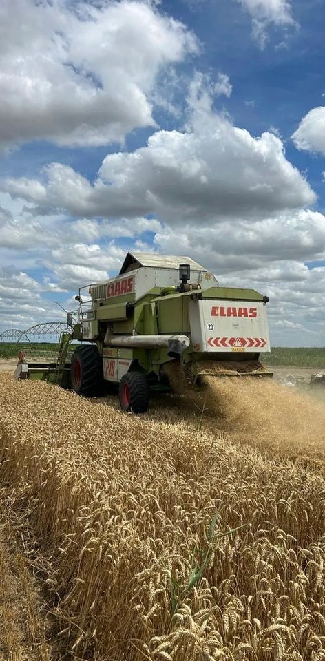 Claas MEGA 218 - Maaidorser: afbeelding 5 Claas MEGA 218 - Maaidorser: afbeelding 5