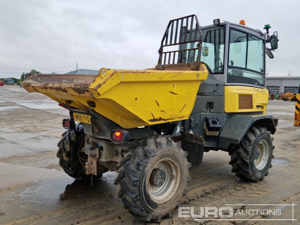 2019 Wacker Neuson DV60 - Minidumper: afbeelding 5 2019 Wacker Neuson DV60 - Minidumper: afbeelding 5