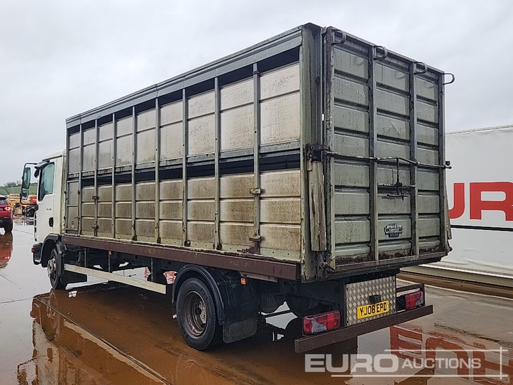 MAN TGL7.180 - Veewagen vrachtwagen: afbeelding 3 MAN TGL7.180 - Veewagen vrachtwagen: afbeelding 3