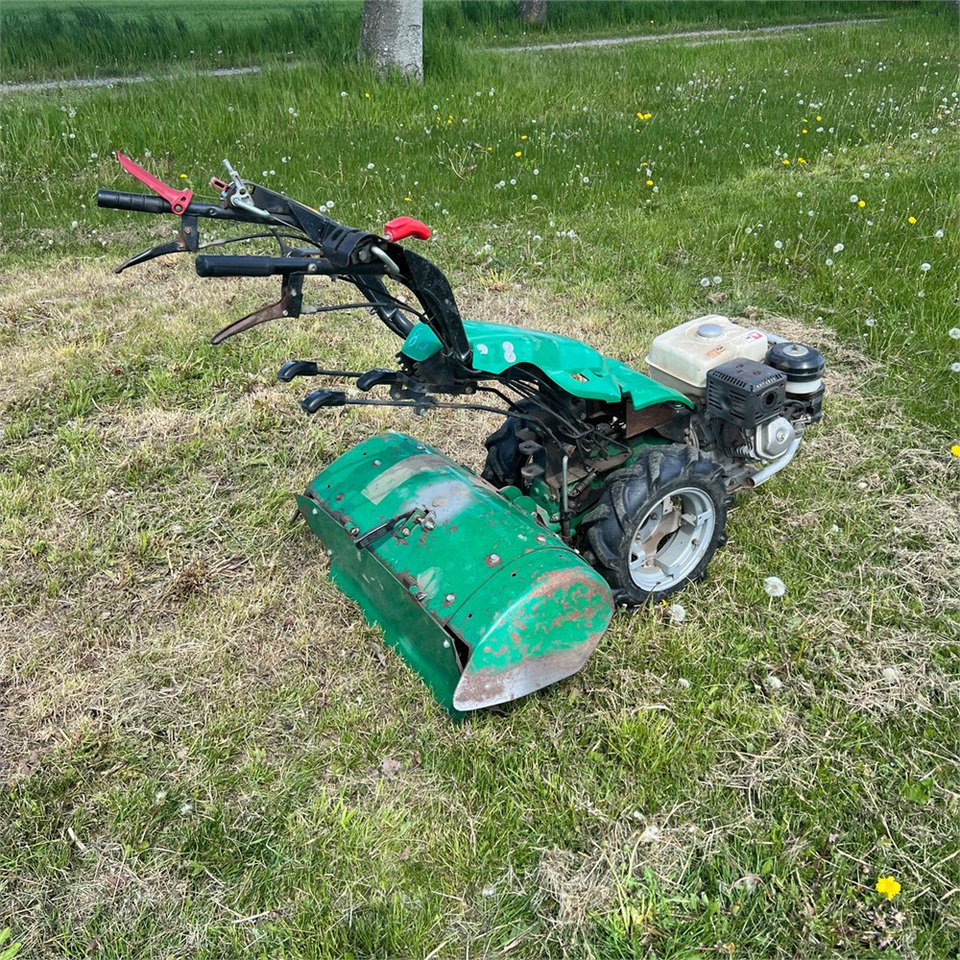 Ferrari MC 328 - Tuinfrees: afbeelding 4 Ferrari MC 328 - Tuinfrees: afbeelding 4