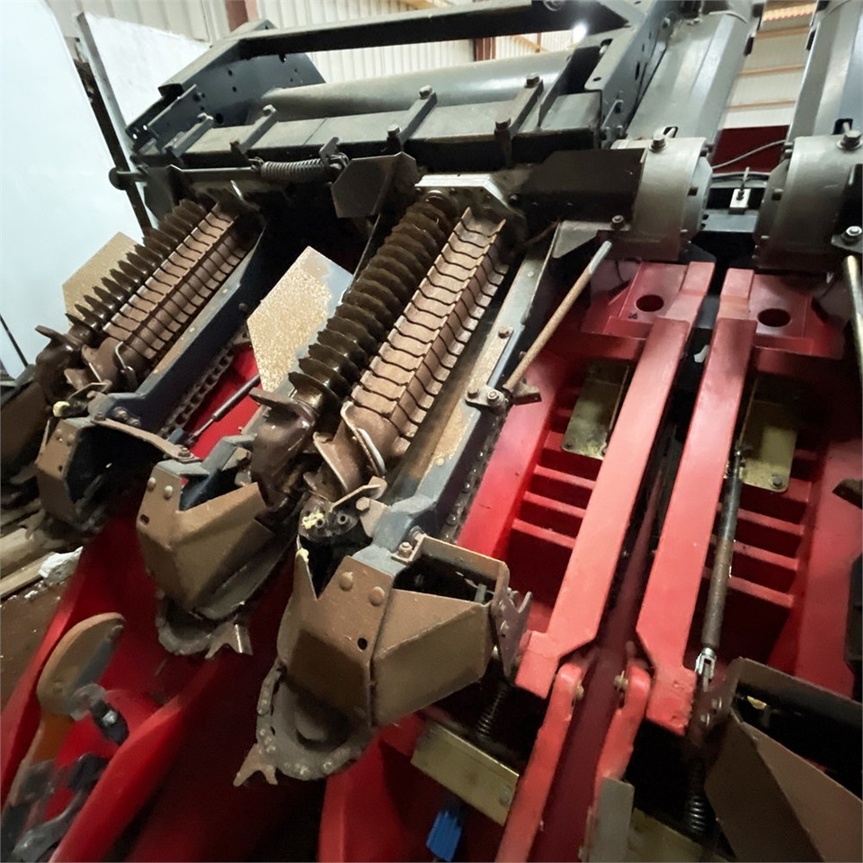 Geringhoff RD 800/FB - Maiskolvenplukker: afbeelding 3 Geringhoff RD 800/FB - Maiskolvenplukker: afbeelding 3