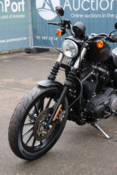 Motorfiets Harley-Davidson Sporster XL 883 Iron: afbeelding 12 Motorfiets Harley-Davidson Sporster XL 883 Iron: afbeelding 12