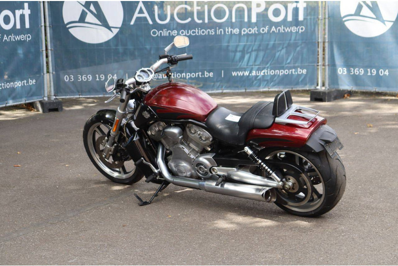 Harley-Davidson V-Rod Muscle - Motorfiets: afbeelding 3 Harley-Davidson V-Rod Muscle - Motorfiets: afbeelding 3