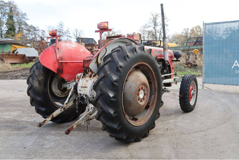 Massey Ferguson Ferguson Vintage Tractor - Tractor: afbeelding 5 Massey Ferguson Ferguson Vintage Tractor - Tractor: afbeelding 5