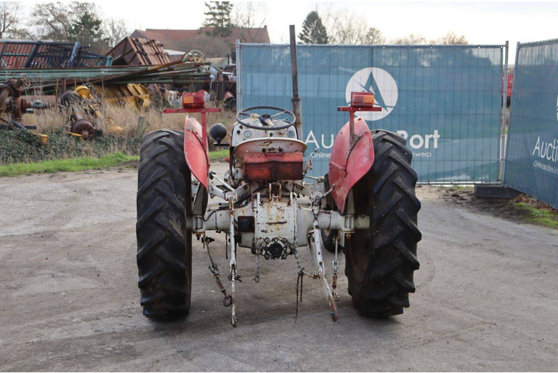 Massey Ferguson Ferguson Vintage Tractor - Tractor: afbeelding 4 Massey Ferguson Ferguson Vintage Tractor - Tractor: afbeelding 4