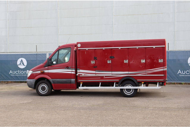Mercedes-Benz 313CDI - Bestelwagen gesloten laadbak: afbeelding 3 Mercedes-Benz 313CDI - Bestelwagen gesloten laadbak: afbeelding 3